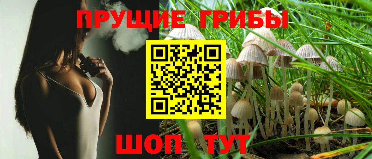 Галлюциногенные грибы MAGIC MUSHROOMS Оренбург